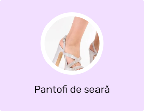 Pantofi de seară