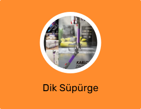 Dik Süpürge