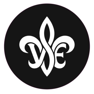 VSE logo