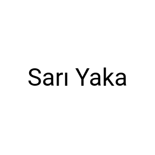 Sarı Yaka