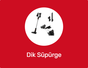 Dik Süpürge