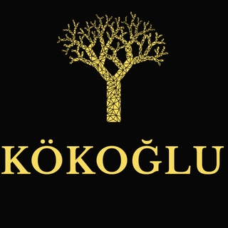 ERGÜN MODEL