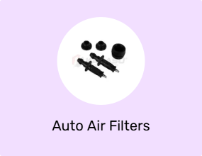 Auto Air Filters