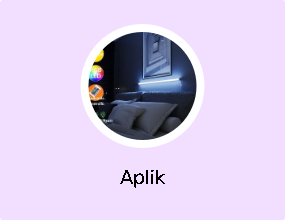 Aplik
