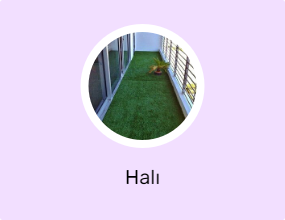 Halı