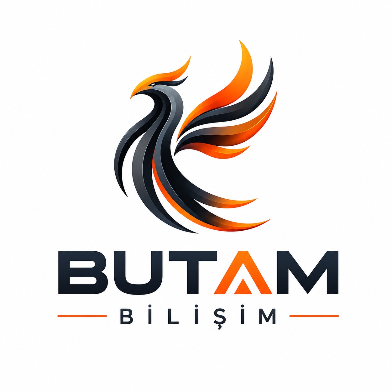 BUTAM BİLİŞİM