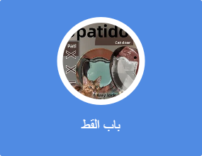 باب القط