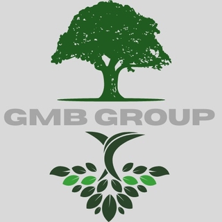 GMB GROUP logo