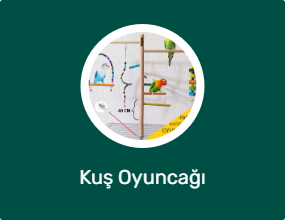Kuş Oyuncağı