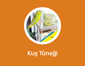 Kuş Tüneği