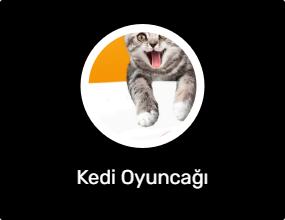 Kedi Oyuncağı