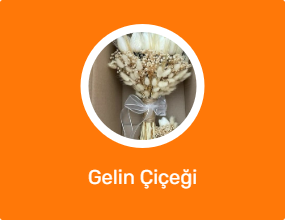 Gelin Çiçeği