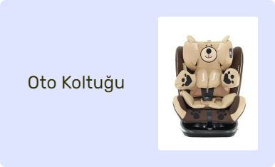 Oto Koltuğu