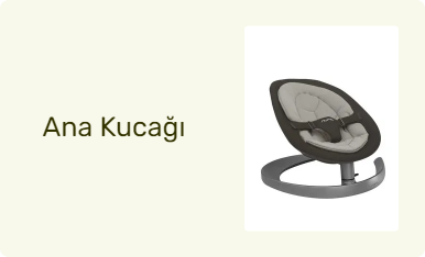 Ana Kucağı