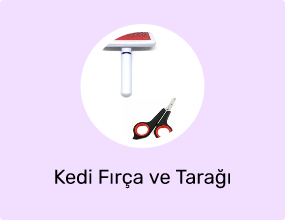 Kedi Fırça ve Tarağı