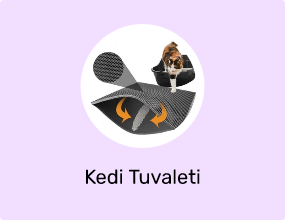 Kedi Tuvaleti