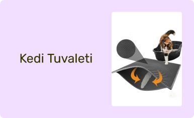 Kedi Tuvaleti