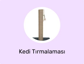 Kedi Tırmalaması