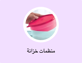 منظمات خزانة
