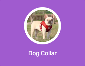 Dog Collar