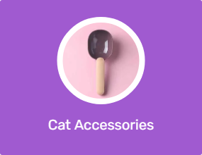 Cat Accessories