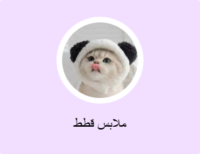 ملابس قطط