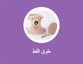طوق القط