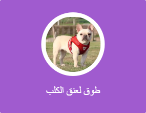 طوق لعنق الكلب