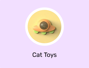 Cat Toys