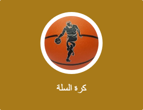 كرة السلة