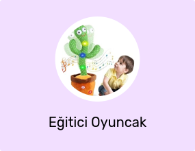 Eğitici Oyuncak