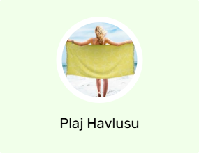 Plaj Havlusu