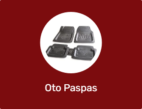 Oto Paspas