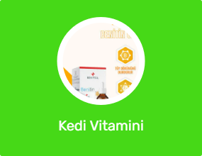 Kedi Vitamini