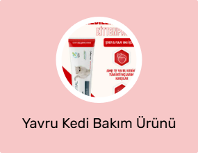 Yavru Kedi Bakım Ürünü