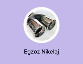 Egzoz Nikelaj