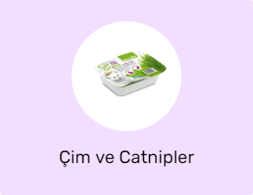 Çim ve Catnipler