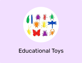 Educational Toys