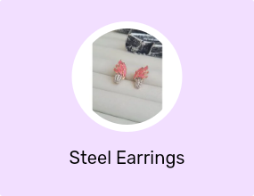 Steel Earrings