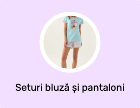 Seturi bluză și pantaloni