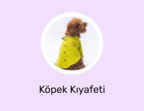 Köpek Kıyafeti