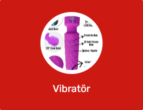 Vibratör