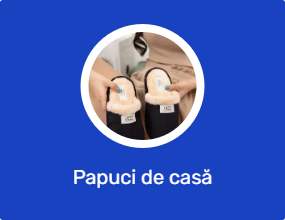 Papuci de casă