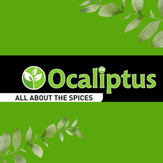 Okaliptus Baharat logo