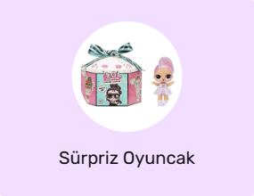 Sürpriz Oyuncak Figürleri