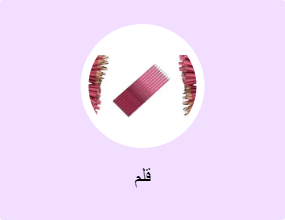 قلم
