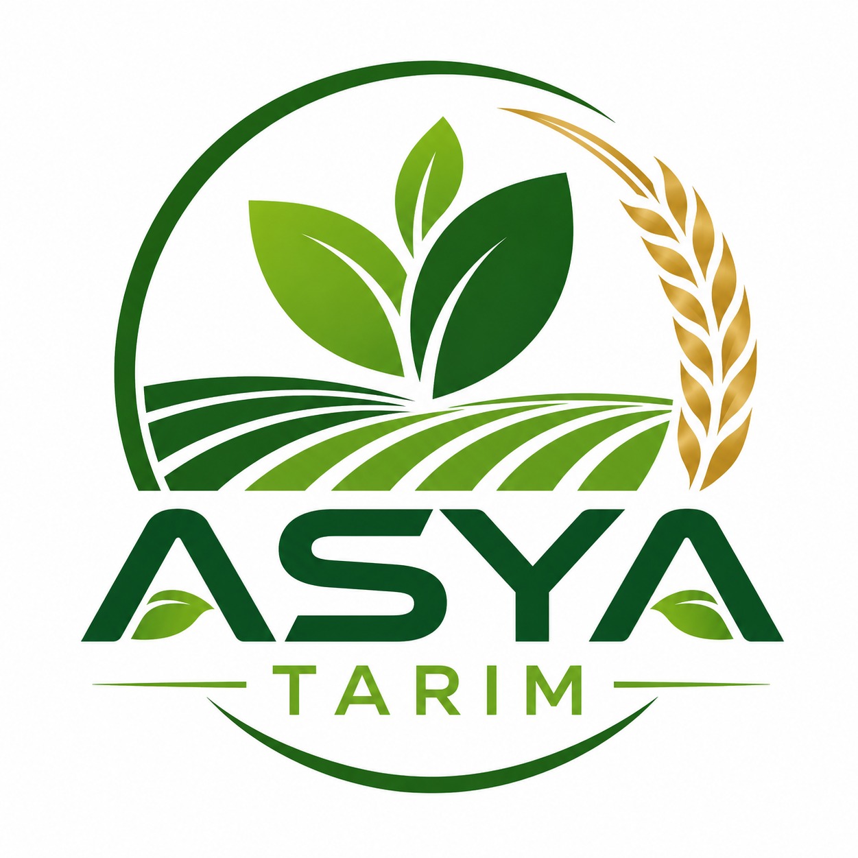 Asya Tarım