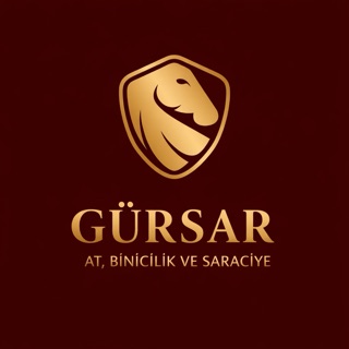 GÜRSAR AT,BİNİCİLİK SARACİYE