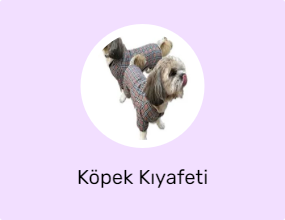 Köpek Kıyafeti