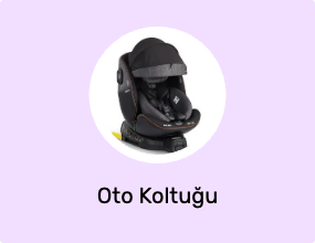 Oto Koltuğu